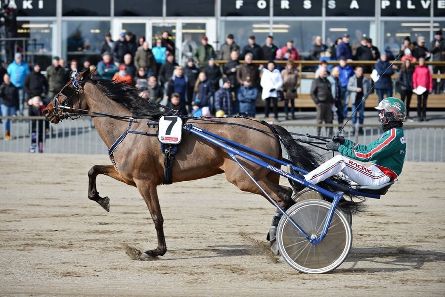Pesiskimppaan pääsee yhä mukaan – Hevosurheilun Kuukauden henkilö on Juha Puhtimäki!