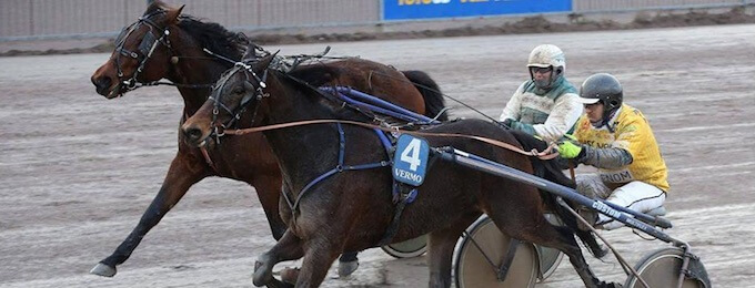 Juha Puhtimäen Don Geronimo Vermon startissa keskiviikkona