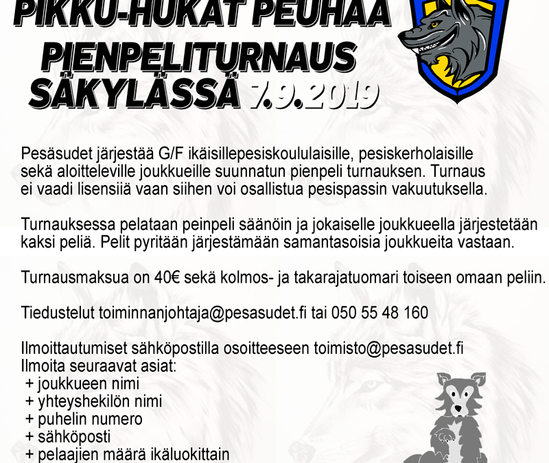 Säkylässä järjestetään pienpeliturnaus 7.9.