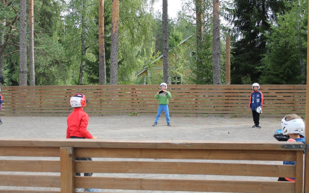 Yleisön pyynnöstä toinen mahdollisuus – koulutus pesiskoulujen ohjaajille ja rehtoreille 7.5.