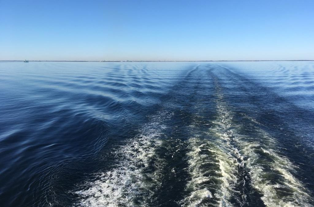 Pesäpallokauden päätösristeily jää väliin