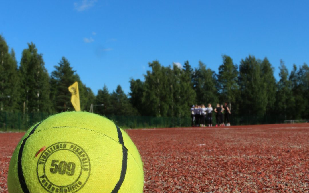 Savo-Karjalan aluesarjat päätökseen