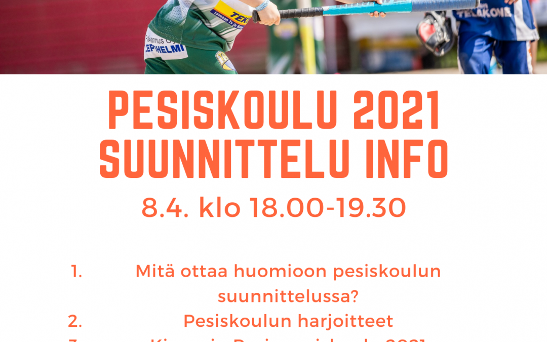 Kesällä pesiksen pariin – pesiskoulun suunnittelutilaisuus 8.4.