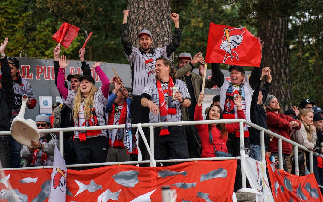 Video: Tässä on vuoden keskisuomalainen urheiluteko – Lohi on Lohi!