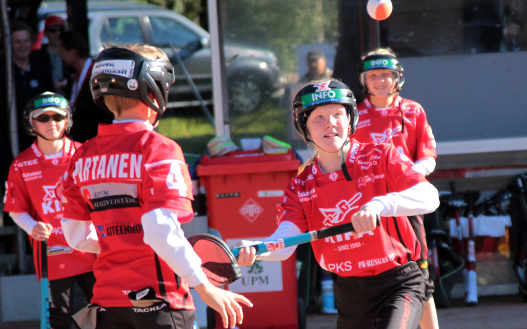 Tietoa aluesarjatoiminnasta