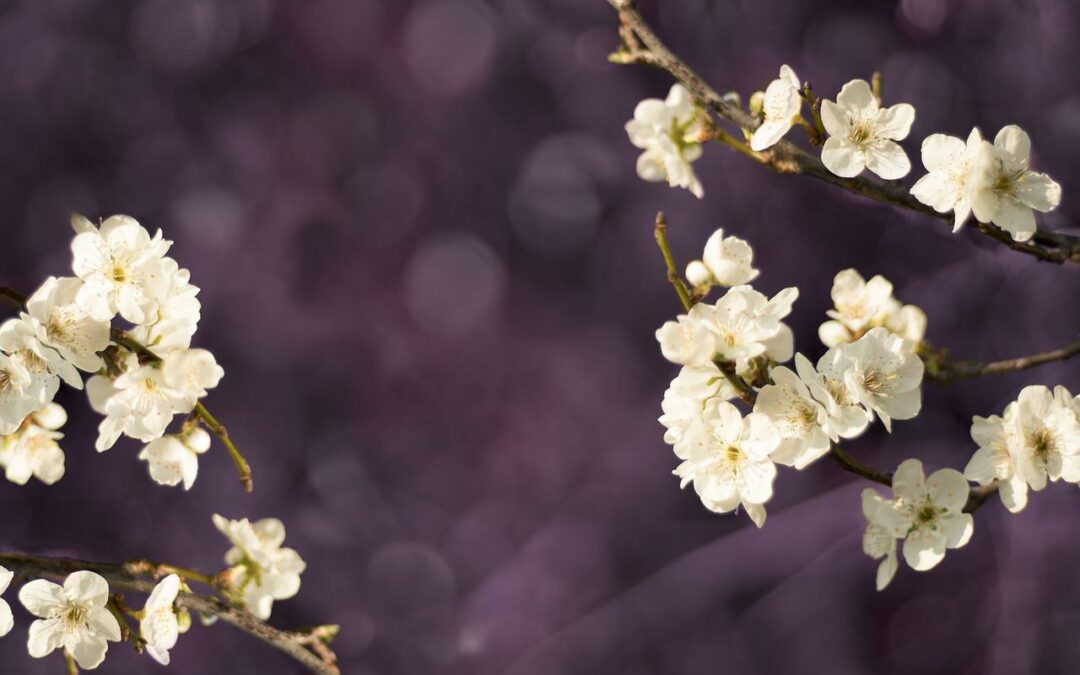 Muistoissamme Hannu Järvinen