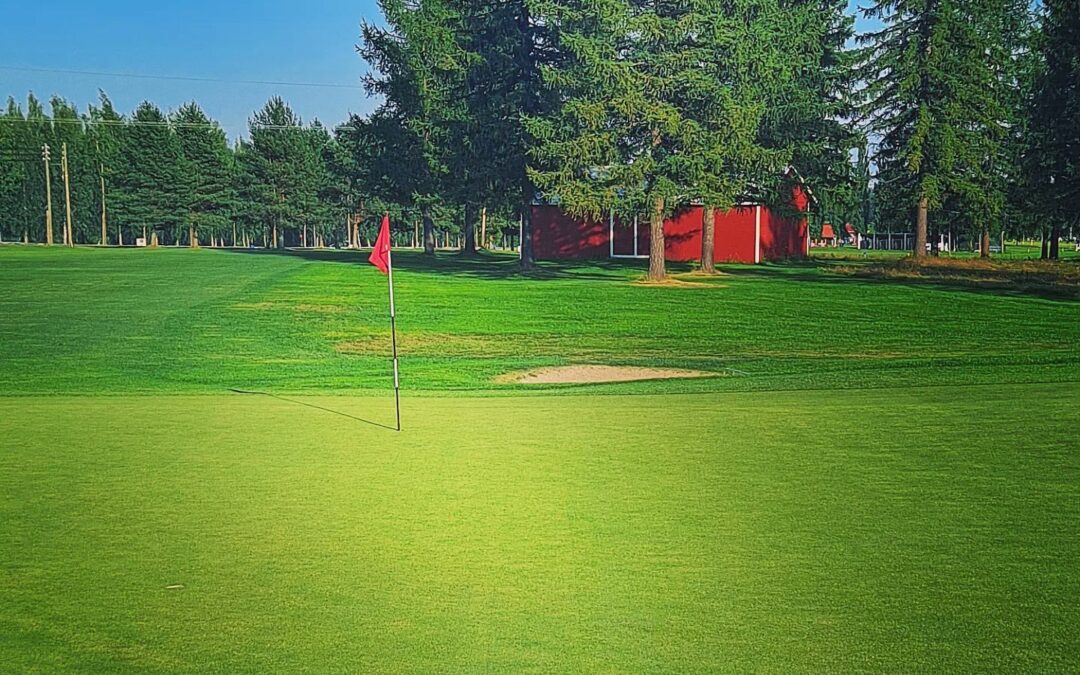 Pesisihmiset kokoontuvat rennon mielen golfkisaan, joka pelataan Siilinjärven Tarinagolfissa la 3.9.