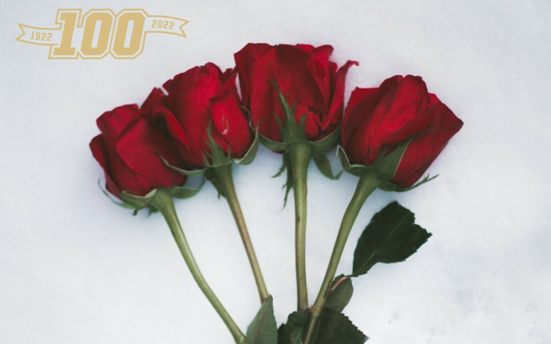 100 kiitosta seuratoimijoille