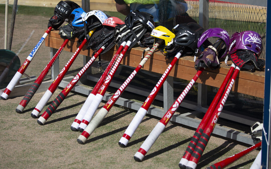 Seurakehittäjien tilaisuudet jatkuvat keväällä – Aiheina muun muassa pesiskoulu ja -liikkari